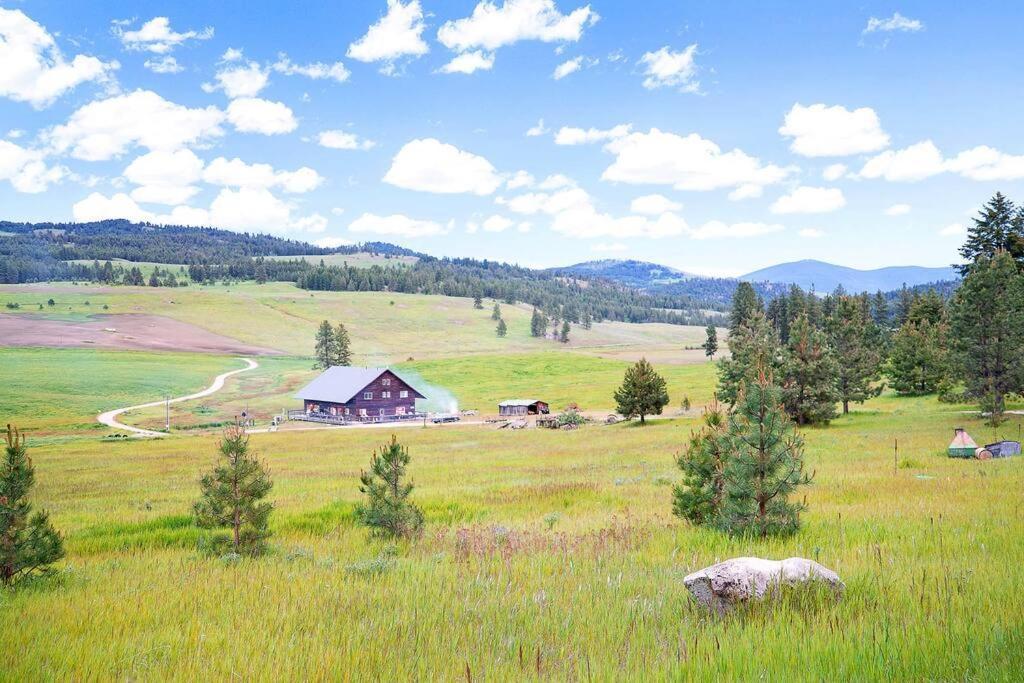 Wilderness Cabin - Eden Valley Oroville Ngoại thất bức ảnh